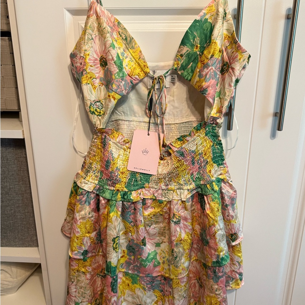 Hello Molly Floral Dress with Pink and Green